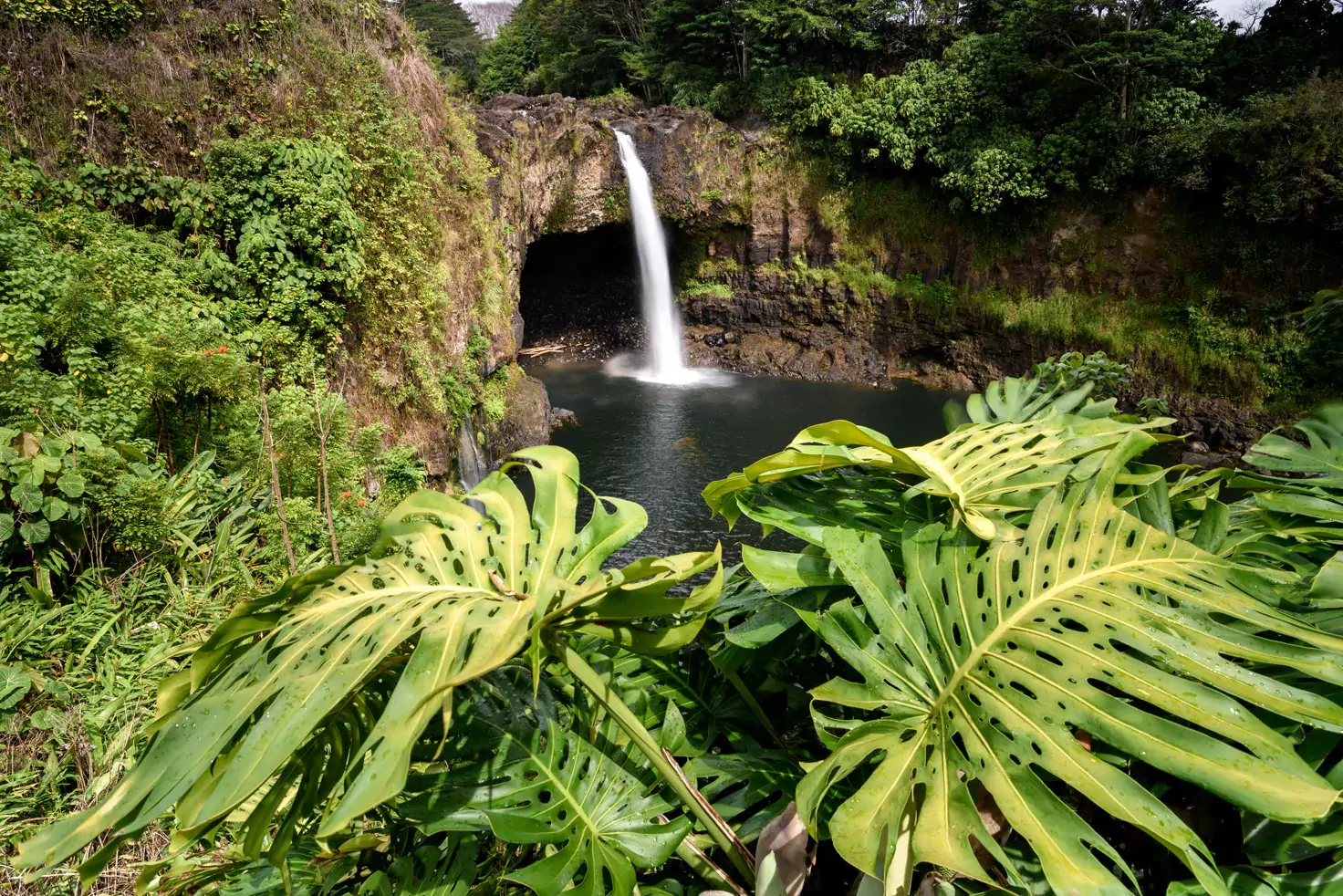 Home resortica-hawaii-65303568558a0