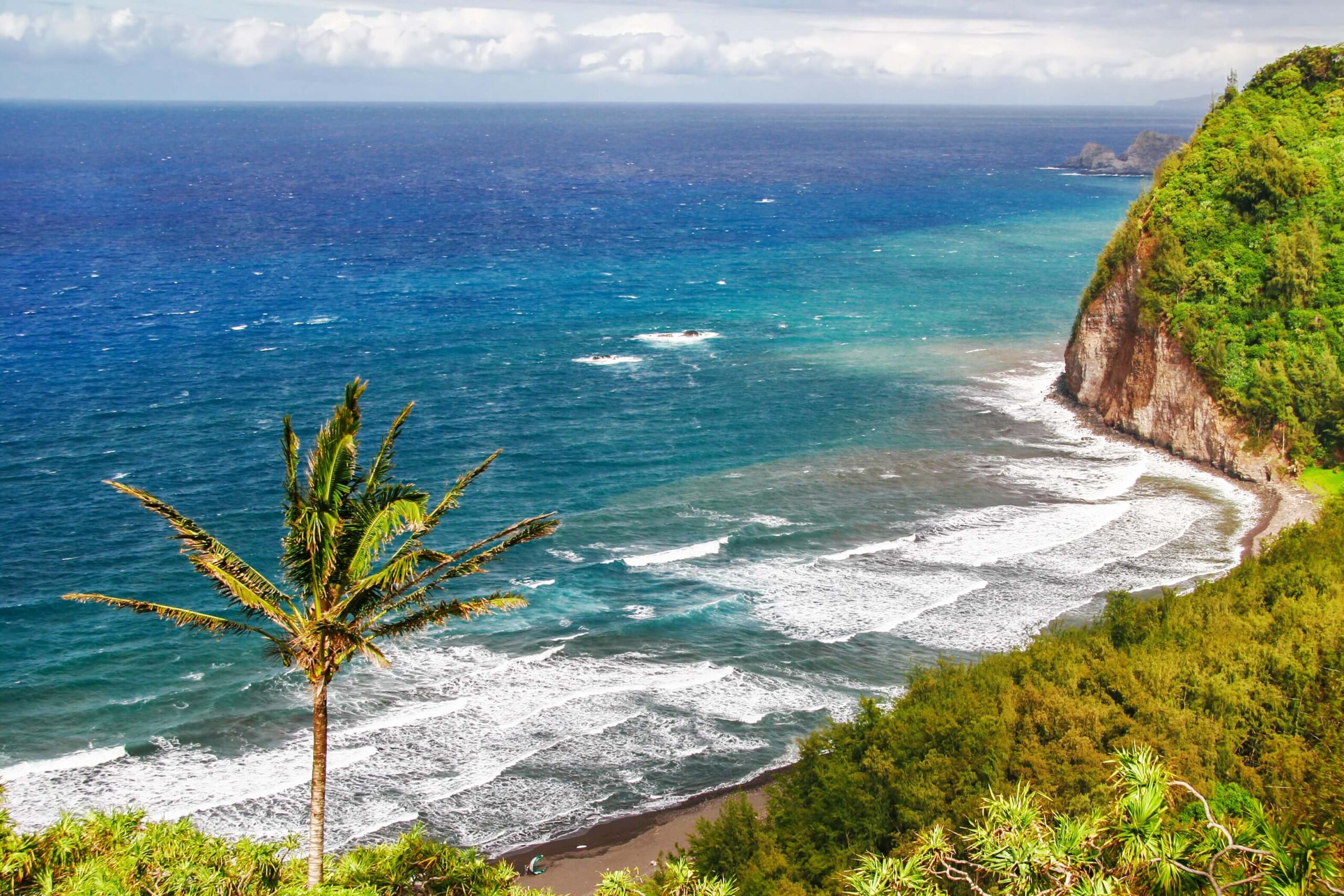 An Oceanview in Hawaii.