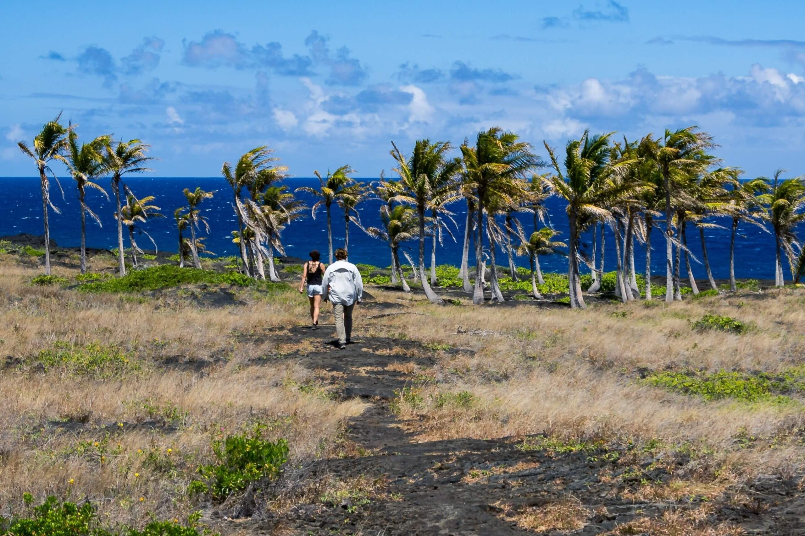 People walking near Chain Of Craters Road Hawaii.