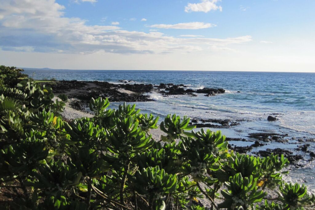 The view you will get with Sustainable Travel.